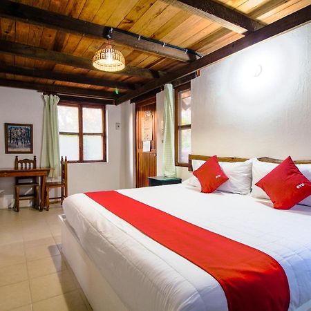 Villas Palmira - Beach Front Heroica Alvarado Eksteriør billede