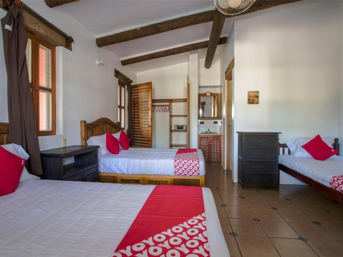Villas Palmira - Beach Front Heroica Alvarado Eksteriør billede