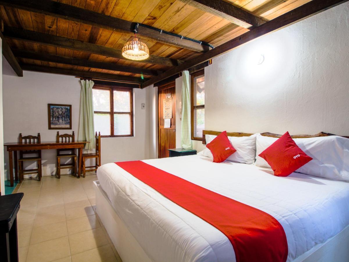 Villas Palmira - Beach Front Heroica Alvarado Eksteriør billede